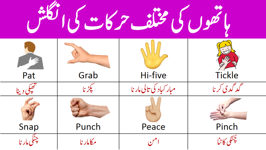 Hand Movements Vocabulary in English with Urdu Meaning in 2023  English  vocabulary, English vocabulary words learning, Learn english words