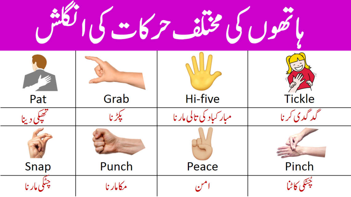 Hand Movements Vocabulary in English with Urdu Meaning