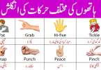Hand Movements Vocabulary in English with Urdu Meaning