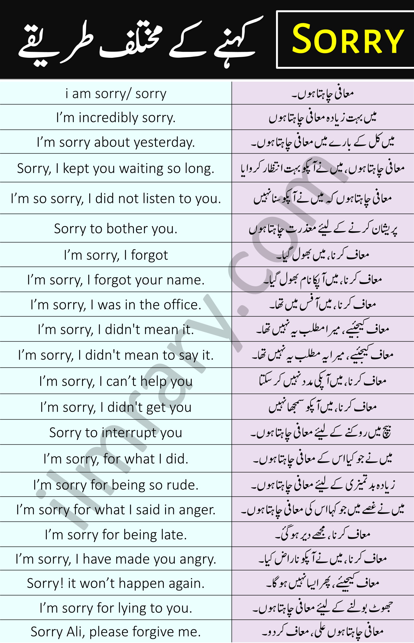 Different Ways To Say Sorry In English