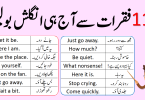 2000 Spoken English Sentences for Daily Use with Urdu Translation