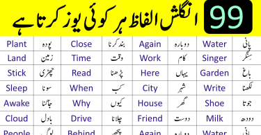 99 Basic English Vocabulary Words for Beginners with Urdu Meanings
