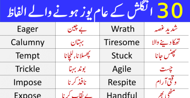 30 Daily Use English Words with Urdu Meanings