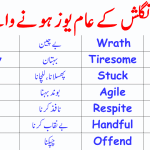 30 Daily Use English Words with Urdu Meanings