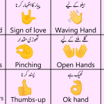Hand Gestures Vocabulary Words in Urdu with PDF