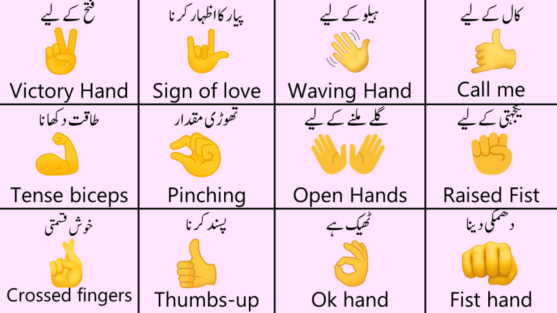 Hand Gestures Vocabulary Words in Urdu with PDF