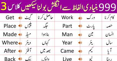 999 Basic Vocabulary Words Course in Urdu | Class 3