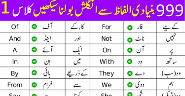 999 Basic Vocabulary Words Course in Urdu | Class 1