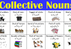 50 Common Collectives Nouns in Urdu with Examples
