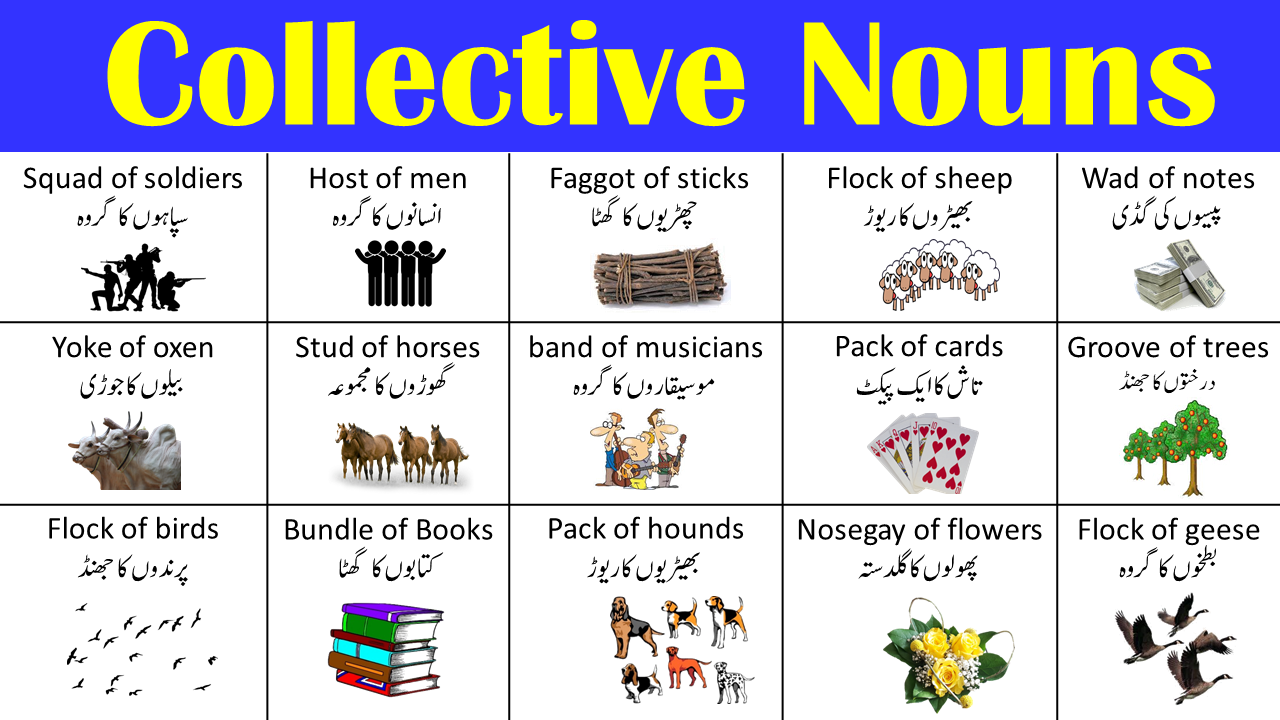 50 Common Collectives Nouns in Urdu with Examples