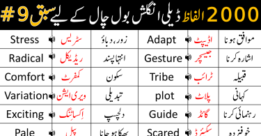 2000 Basic Vocabulary Words Course in Urdu | Class 9