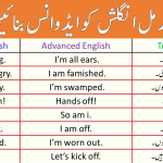 35 Advanced English Speaking Sentences with Urdu Translation