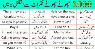 2000 Spoken English Sentences for Daily Use with Urdu Translation