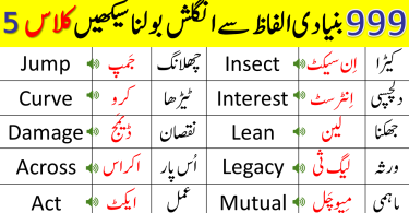 999 Basic Vocabulary Words Course in Urdu | Class 5
