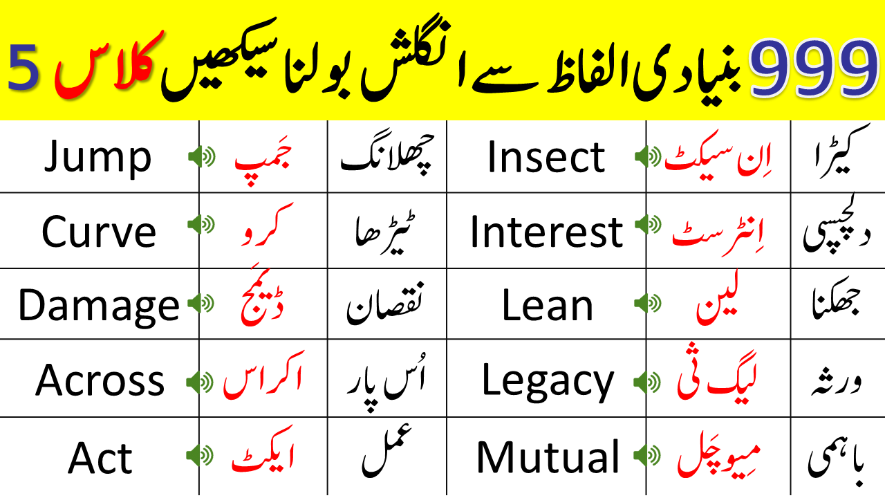 999 Basic Vocabulary Words Course in Urdu | Class 5