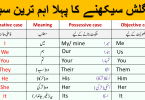 Pronoun Definition and All Personal Pronouns with Examples in Urdu