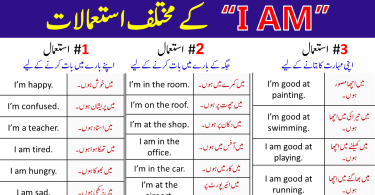 All Uses of "I AM" in English with Examples in Urdu