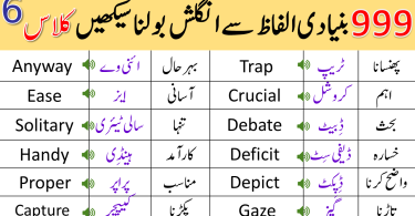 999 Basic Vocabulary Words Course in Urdu | Class 6