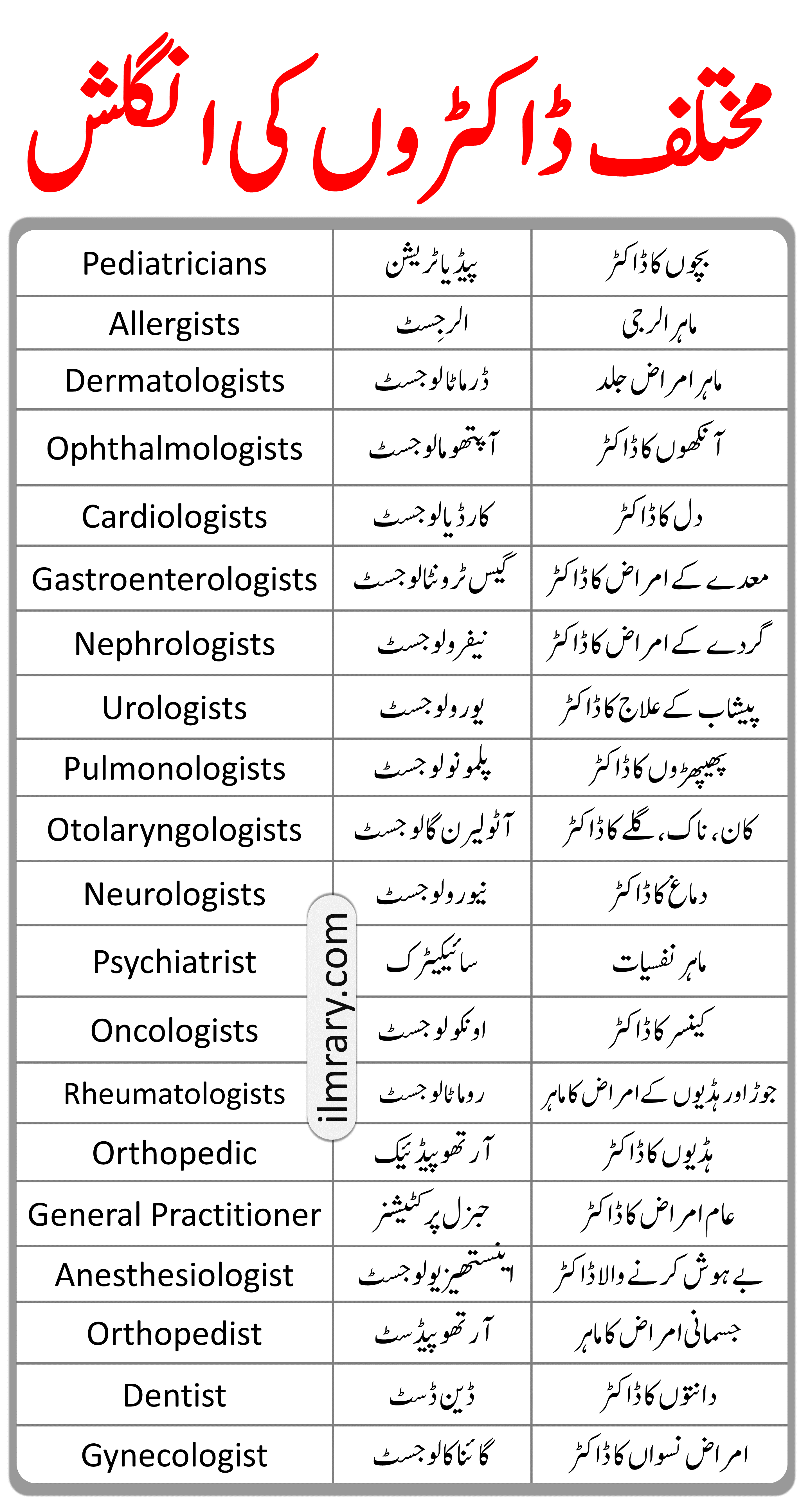 Types of Doctors in English with Urdu Meanings