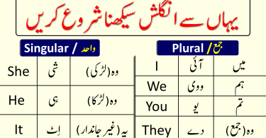 All Subjects in Urdu | Learn English Grammar like Kids | Day 1