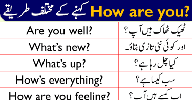 Different Ways to Say HOW ARE YOU with Urdu Explanation