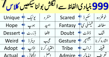 999 Basic Vocabulary Words Course in Urdu | Class 7
