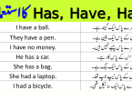 Use of HAVE, HAS, HAD in English Explained Through Urdu