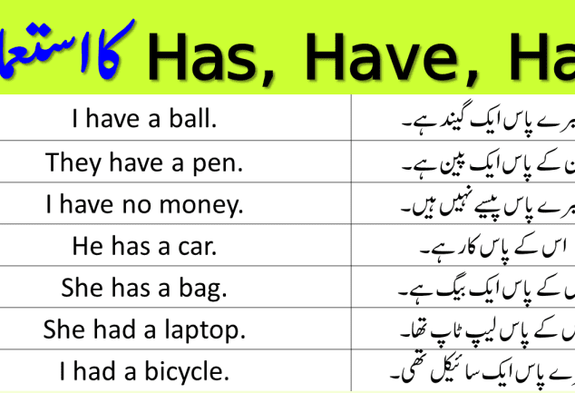 Has Have Had Use With Examples ILmrary has-have-had-use-with-examples-ilmrary