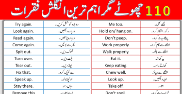110 Basic Spoken English Sentences with Urdu Translation