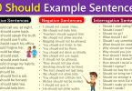 Use Should a in Sentence |110 Sentences Using Should