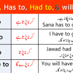Use of Has to, Have to, Had to, Will Have to in Urdu with Examples