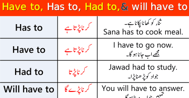 Use of Has to, Have to, Had to, Will Have to in Urdu with Examples