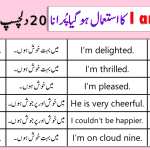 20 Different Ways to Say I AM HAPPY in English with Urdu Meanings