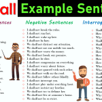 Shall Use in a Sentence | 60 Examples of Using Shall