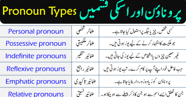 Pronoun Definition and Its Types in English | Parts of Speech in Urdu