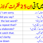 25 Most Amazing English Phrases in Urdu | Say this When You Don't Understand