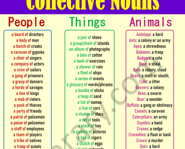 Collectives Nouns List in English with Examples