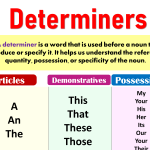 Determiner Definition and Types with Examples
