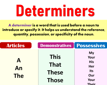 Determiner: Definition, Types and Examples