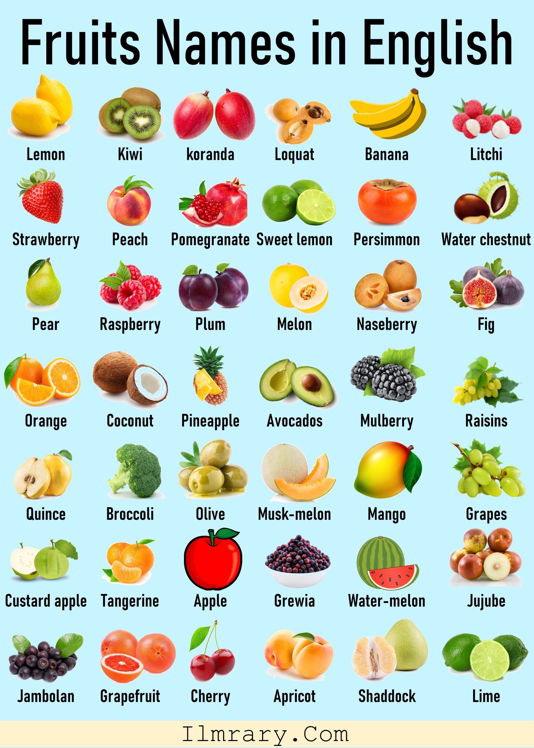 List of Fruits Names in English with Pictures | Fruits Vocabulary
