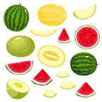 Melons: