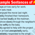 60 Adverb Example Sentences in English
