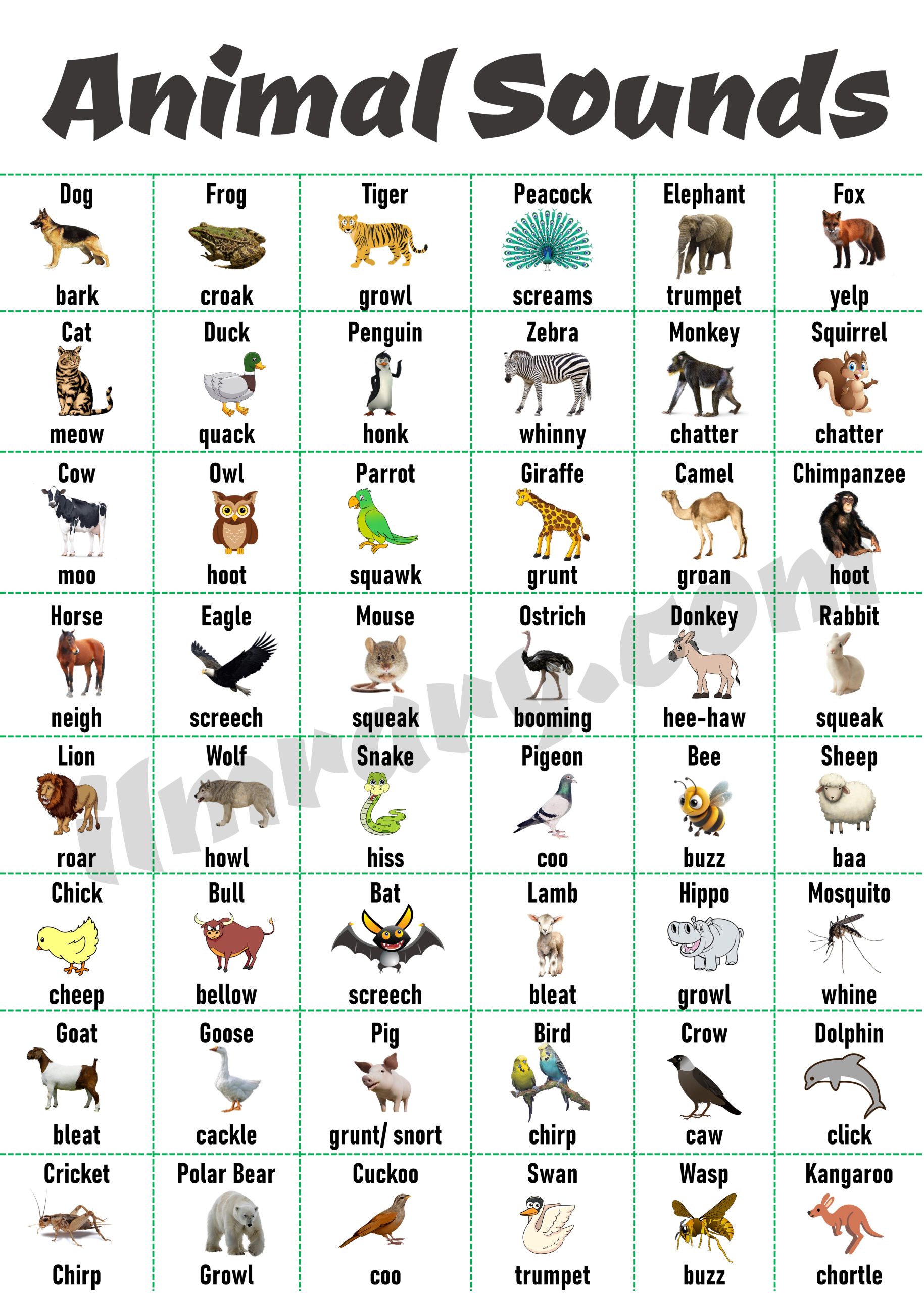 100+Animals and Theirs Sounds in English with Pictures