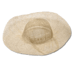Sinamay hat