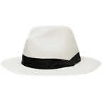 Wide-brim hat