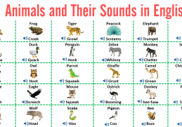 100+ Animal Sounds Vocabulary in English