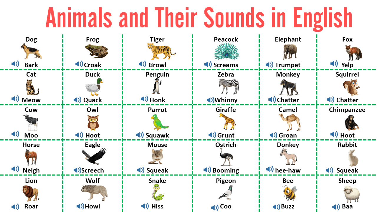 100+ Animal Sounds Vocabulary in English