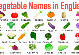 100+ Vegetables Names in English with Pictures
