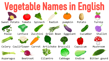 100+ Vegetables Names in English with Pictures