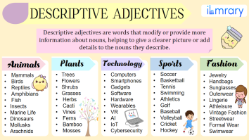 Descriptive Adjectives Definition and Types with Examples